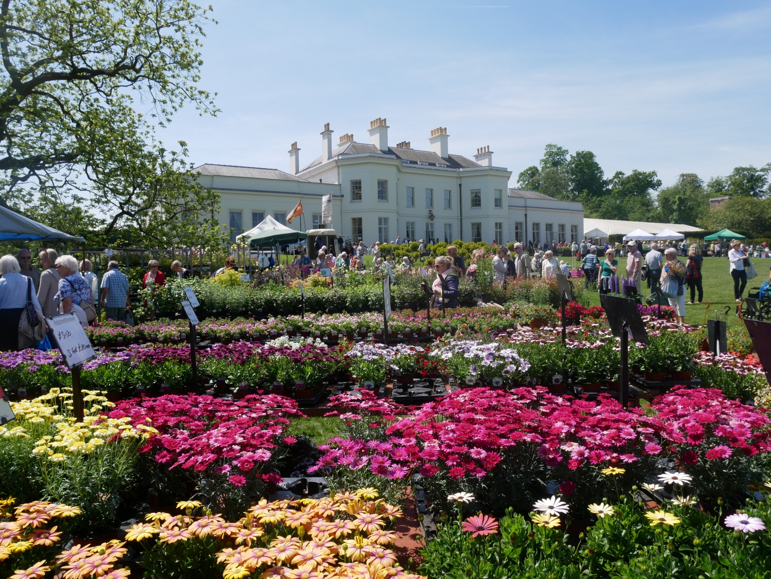 the national flower show 2019 | hylands estate