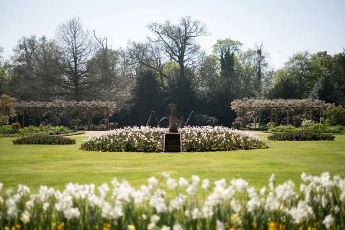 The Pleasure Gardens of Hylands filled with white flowers.