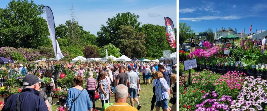Visitors enjoying the abundance of flowers and stalls at the National Flower Show taking place on Hylands back lawn. 