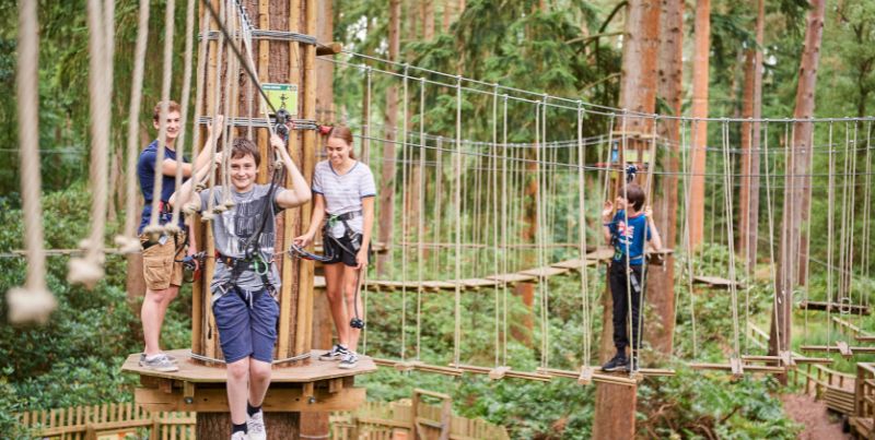 Three children doing the ropes course in the trees at Go Ape.