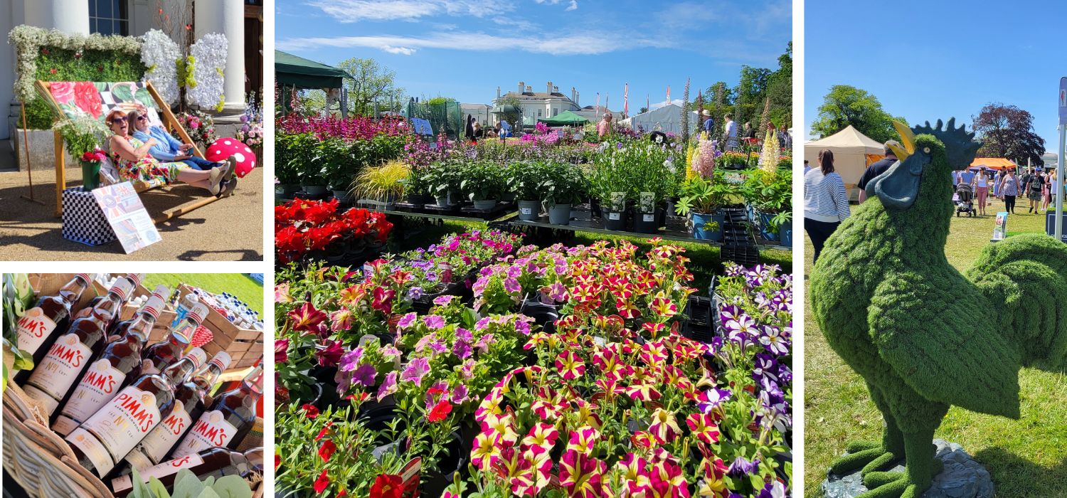 A collage of images featuring colourful flowers and plants.