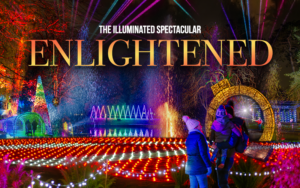 Enlightened light trail.