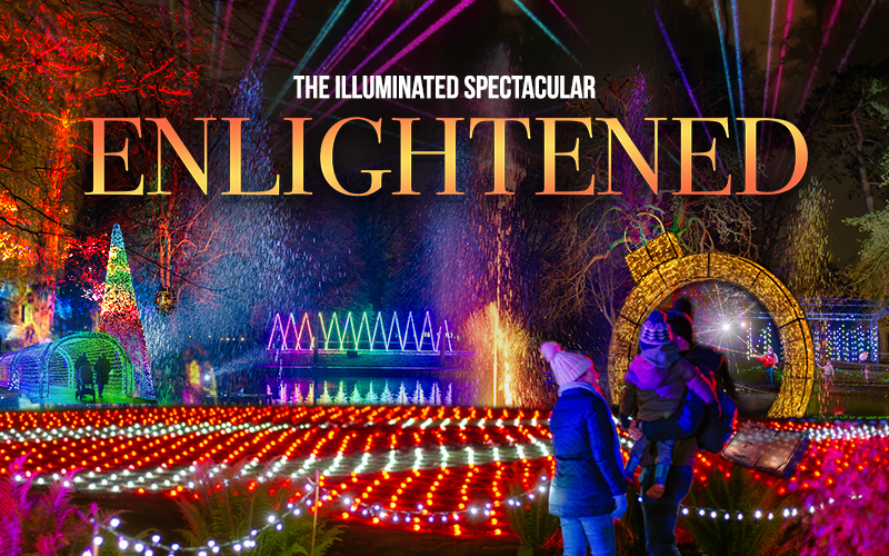 Enlightened light trail.